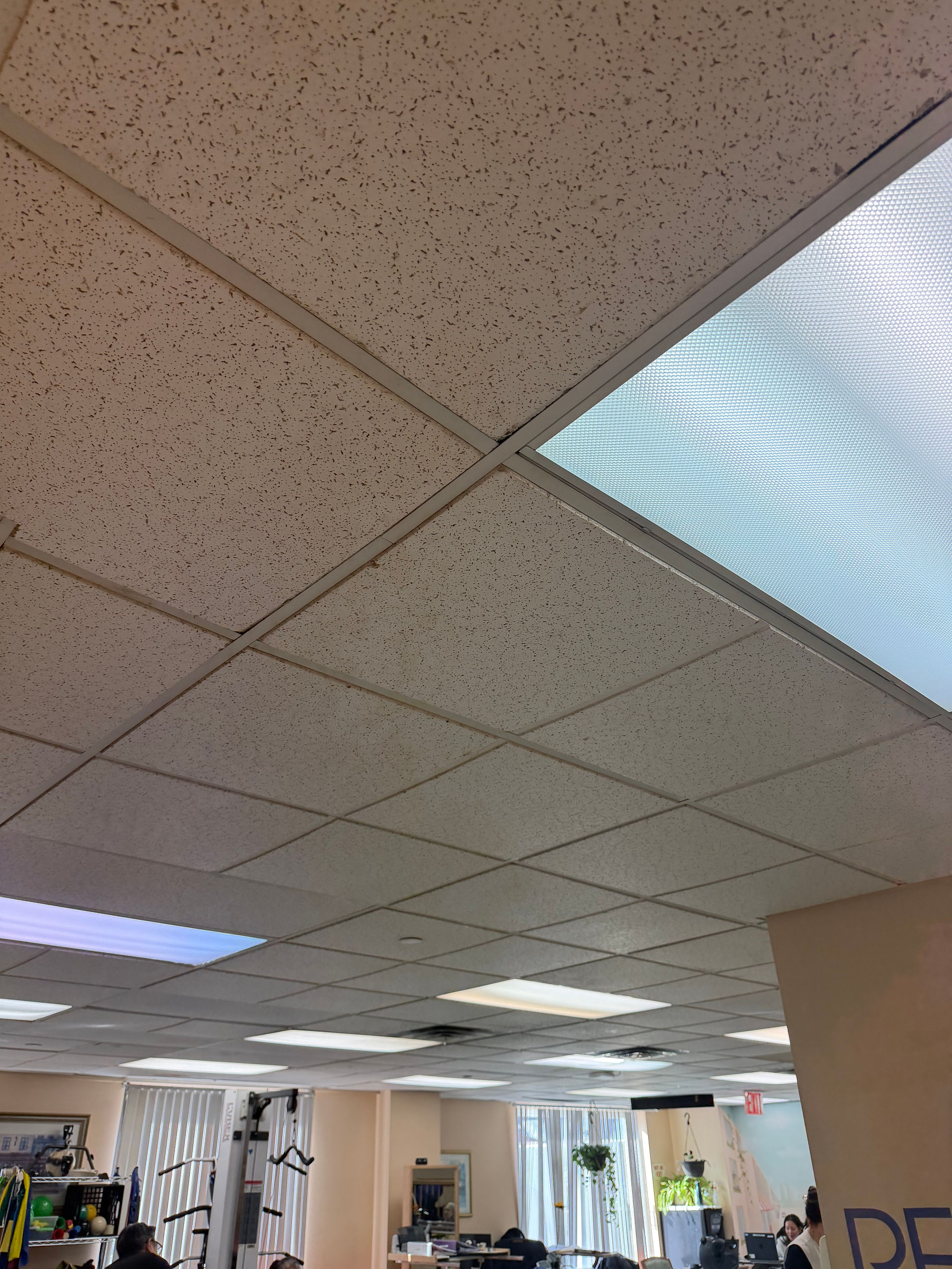 Ceiling & Lighting Replacement Project