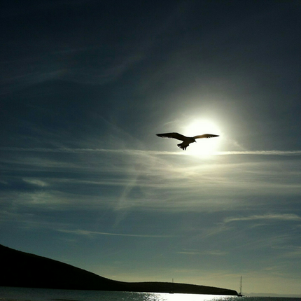 10 Dicas Para Obter Sua Paz Interior