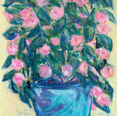 Camellia in Turquoise Pot