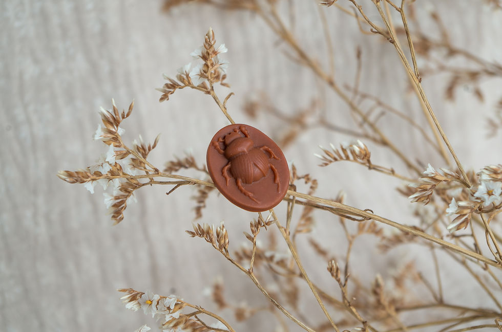 Miniature : Pin's "Scarabée"