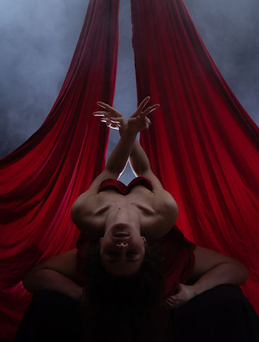 Bondage red rope.JPG
