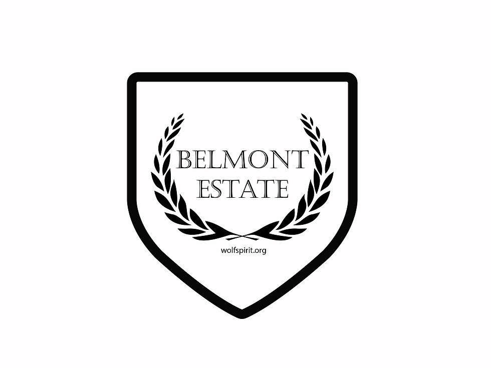 Wolfspirit Kink Party at Belmont Estate