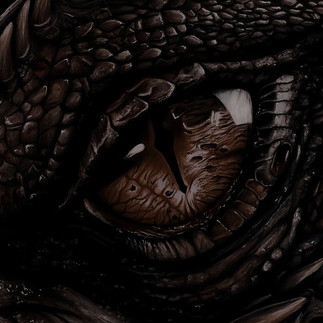 L'oeil d'un dragon