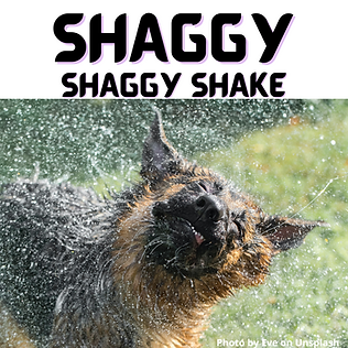 Shaggy Shaggy Shake Logo (1).png