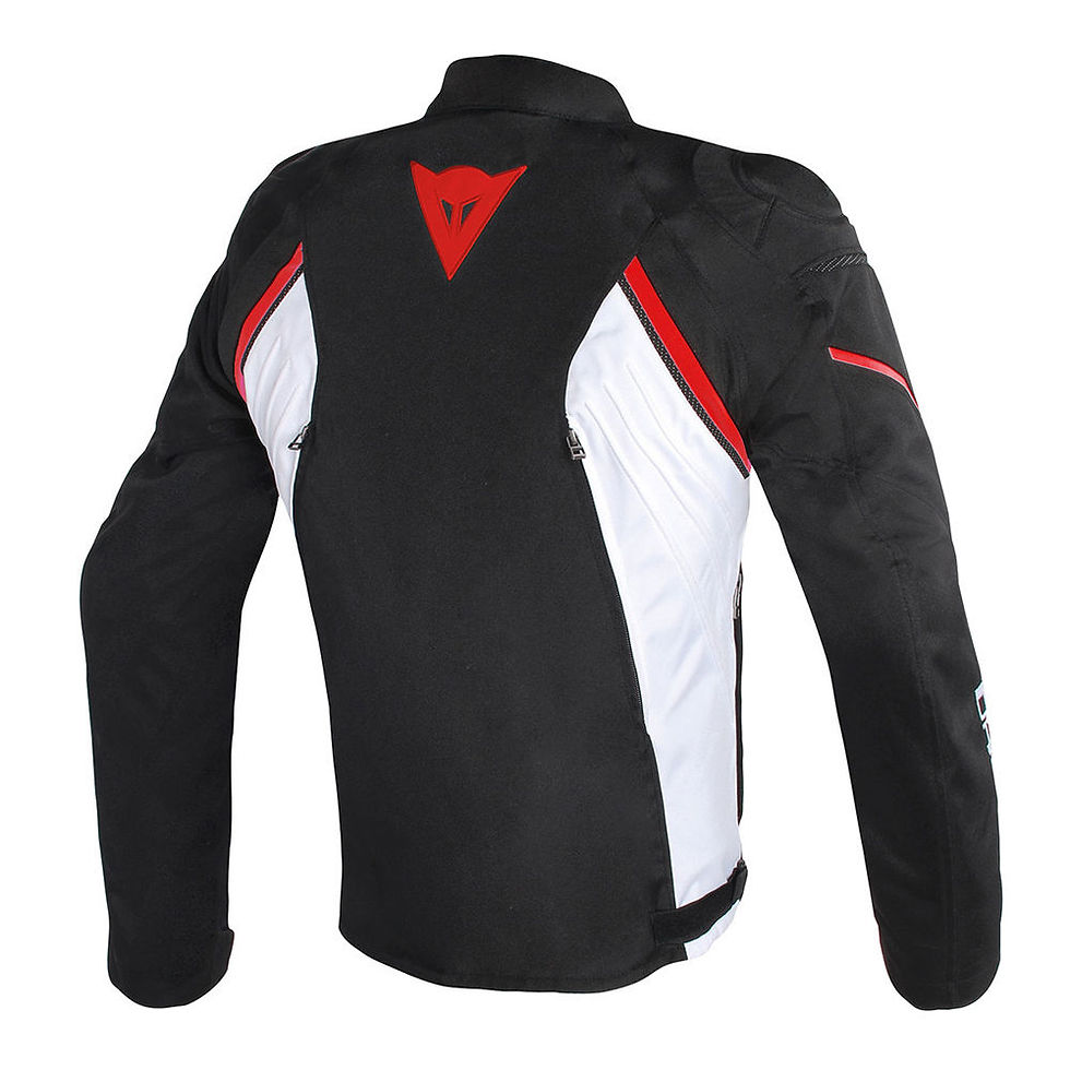Miniatura: Dainese Avro D2