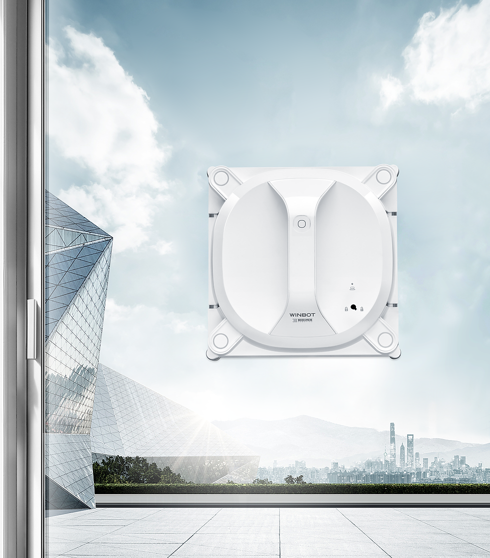 Miniatura: Ecovacs Winbot X