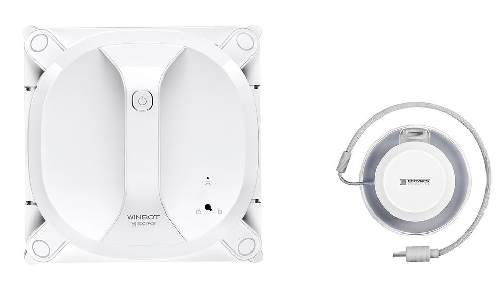 Miniatura: Ecovacs Winbot X