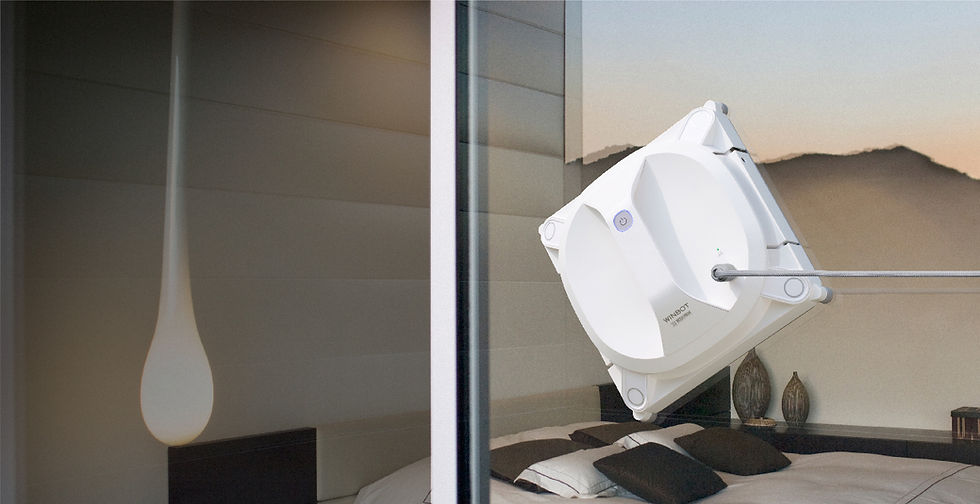 Miniatura: Ecovacs Winbot X