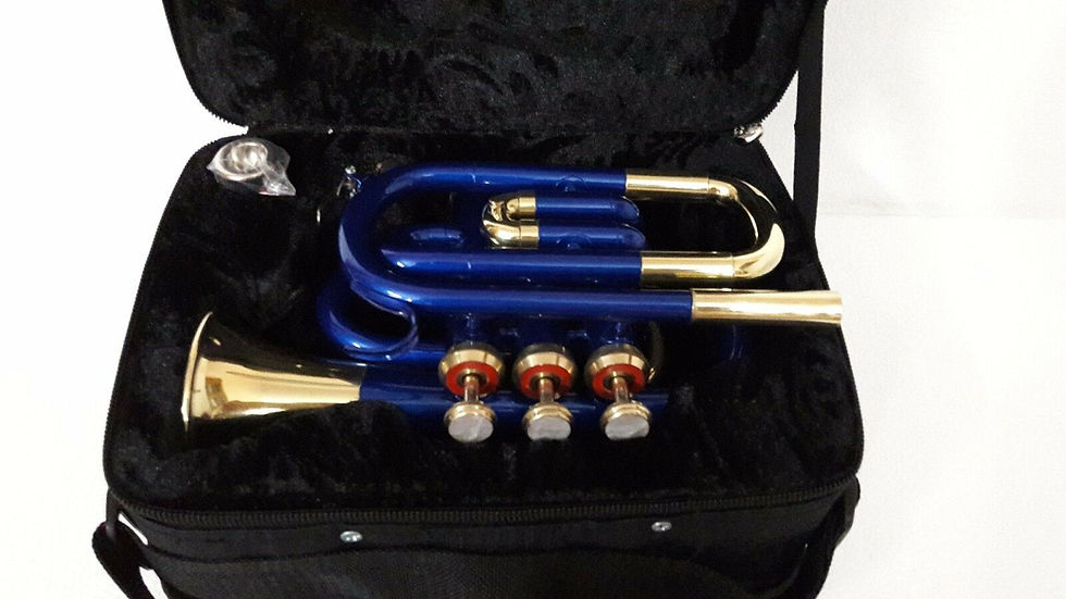 Miniatura: Navkaar de bolsillo