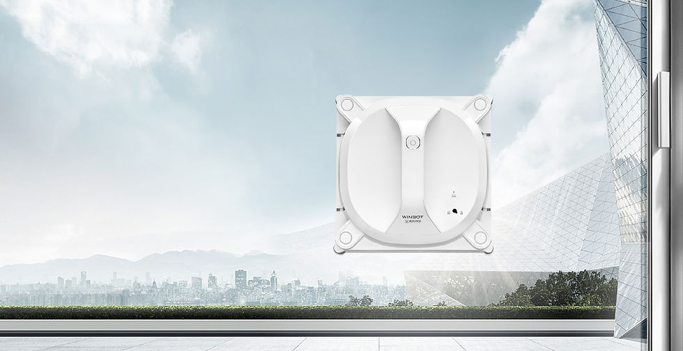 Miniatura: Ecovacs Winbot X