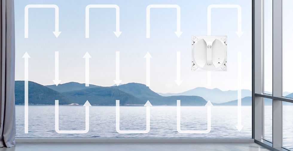 Miniatura: Ecovacs Winbot X