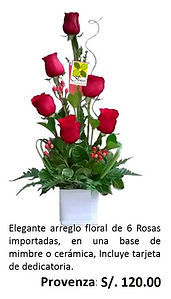 Flowers Piura Provenza