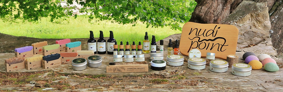 Feb 2019 edit (4)_edited.jpg