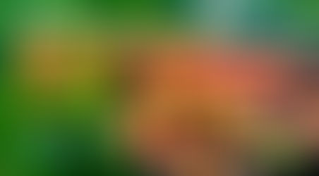 KC BBQ交流会 by高知color-1985-