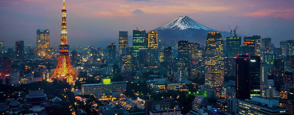 Aerial view of Tokyo cityscape with Fuji