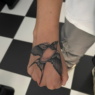 Bird Cover Up
