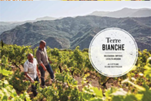 Ritaglio stampa: Slow Wine, 2016 - Terre Bianche, Dolceacqua