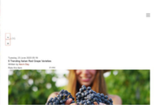 Ritaglio stampa: Wine Scholar Guild, 2020 - Terre Bianche, Dolceacqua