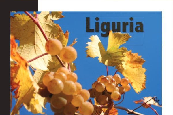 Ritaglio stampa: Sommelier Journal, 2011 - Terre Bianche, Dolceacqua