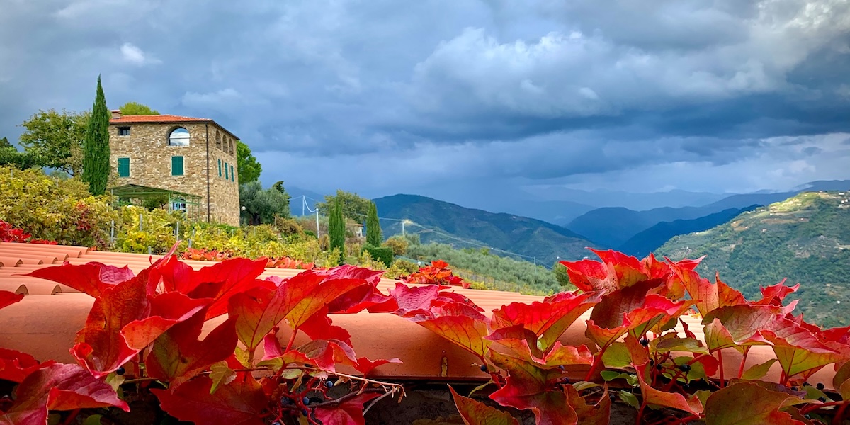 Articolo web: Riviera Buzz, 2024 - Terre Bianche, Dolceacqua