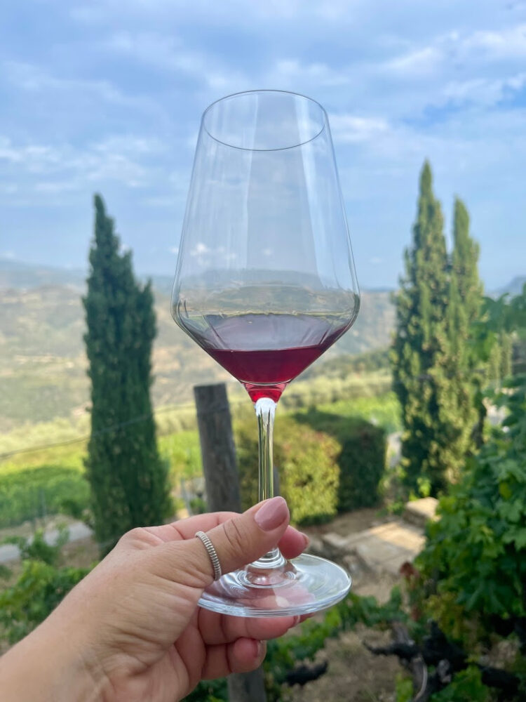Articolo web: Luciano Pignataro Wine Blog, 2022 - Terre Bianche, Dolceacqua
