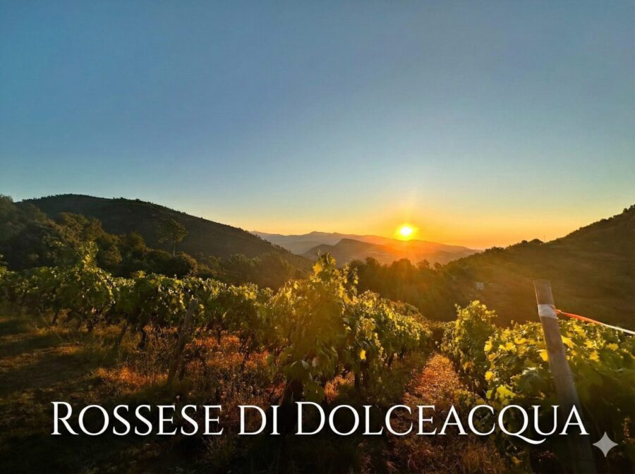 Articolo web: L'AcquaBuona, 2025 - Terre Bianche, Dolceacqua