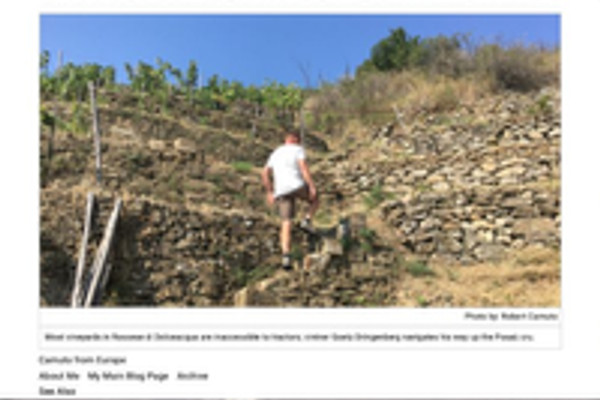 Ritaglio stampa: Wine Spectator, 2018 - Terre Bianche, Dolceacqua