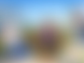 VOS DROITS EN BELGIQUE