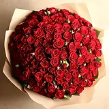 200 roses.webp