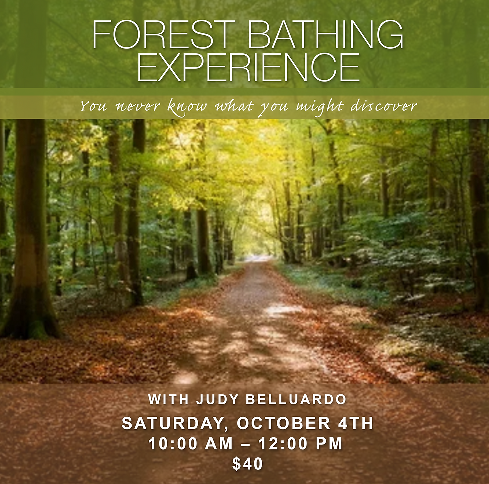 Forest Bathing Experience $40