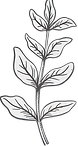 ketamine assisted psychotherapy monsey