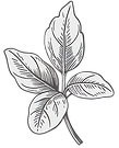 ketamine assisted psychotherapy monsey