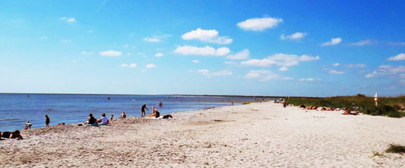 Sommertræf i det nord jyske