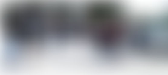 SaabAsyl Sommertræf 2019