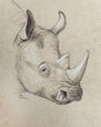 Rhino2Drawing2022_WEB.jpg
