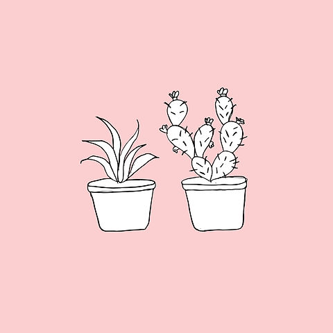 plantitas rosas.jpg