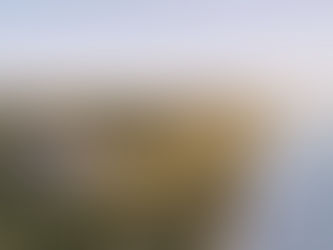 Top Neighbourhoods to Find Flats for Sale in Rajahmundry