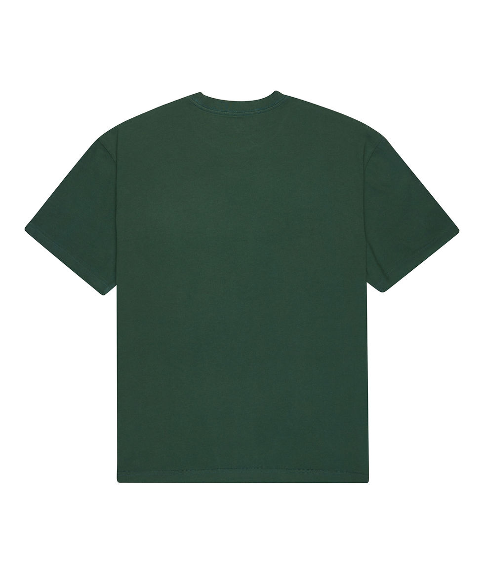 Quiksilver Salt Water back
