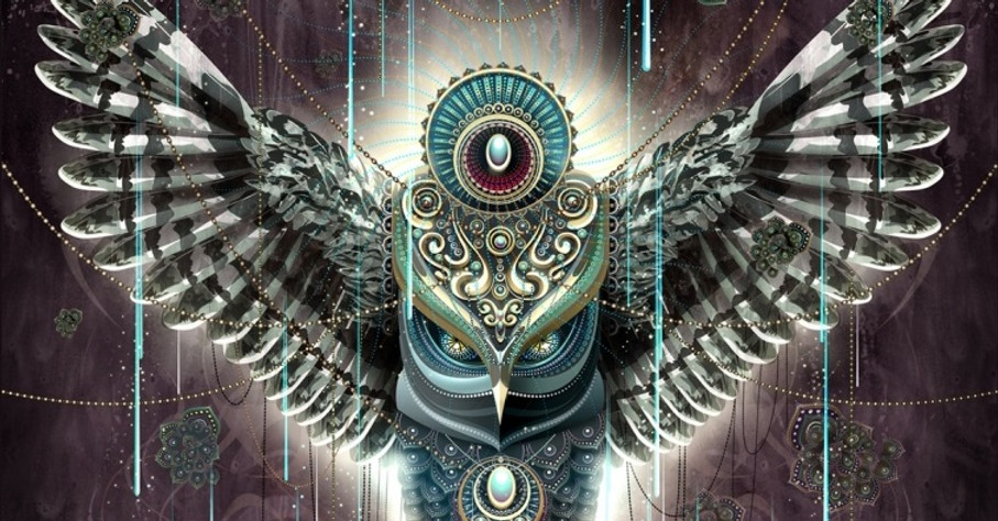 sacred owl