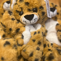 Stuff a plush party Randolph MA