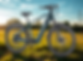 EGO Bike Rentals.png