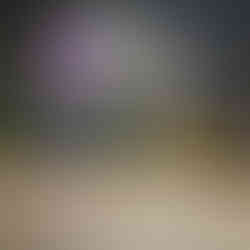 indoor bumper cars at the fun lab