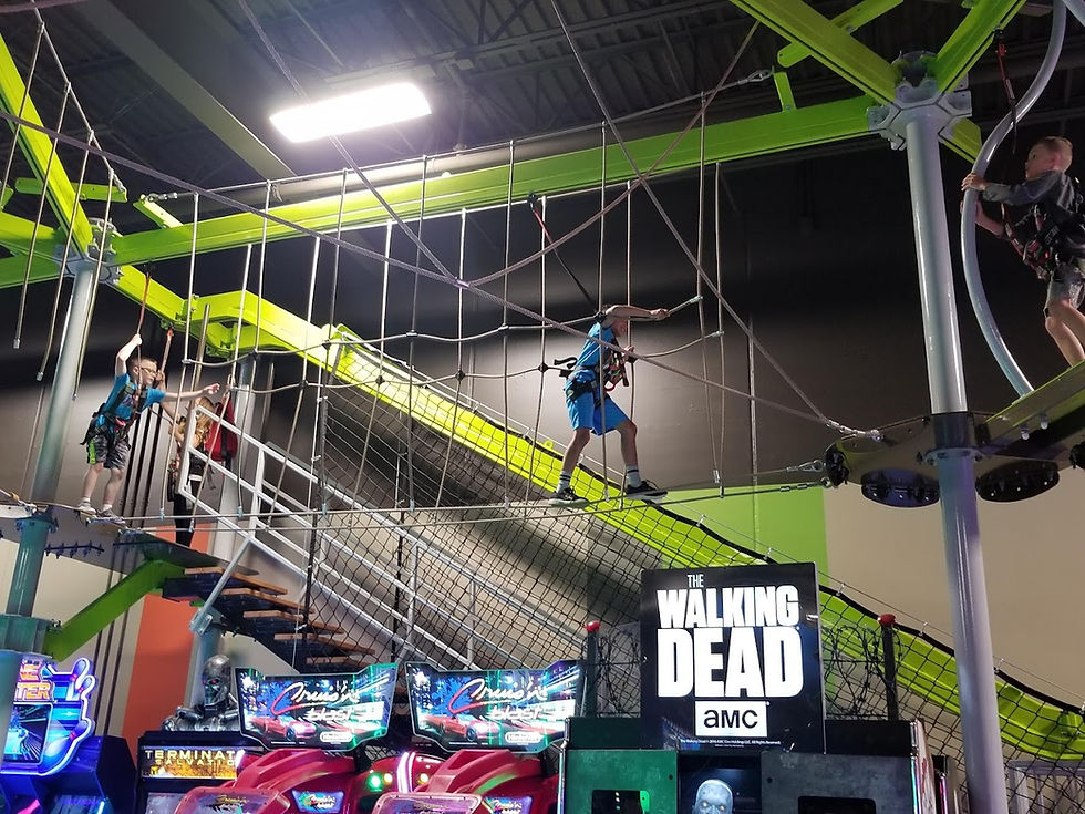 Our 2025 Favorites: 9 Attractions We Can’t Stop Playing 