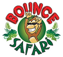 Bounce Safari _ Kid's Play Center _ Kid's Birthday Parties in NJ