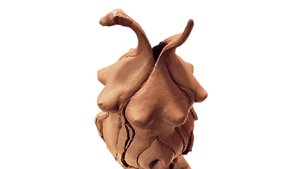 Copia di La CoccolElia (Sito web) (57)_e