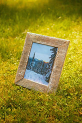 Frame in grass.JPG