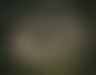 Navigating Common Challenges: Staff changes in Governance 