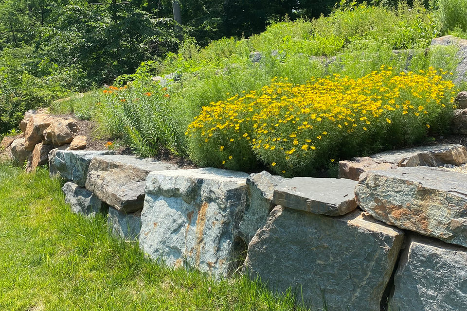 Fieldstone Meadow Property