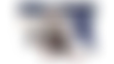 Pius Suter makes NHL debut