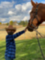 122718366_3623634571020194_2196581044975